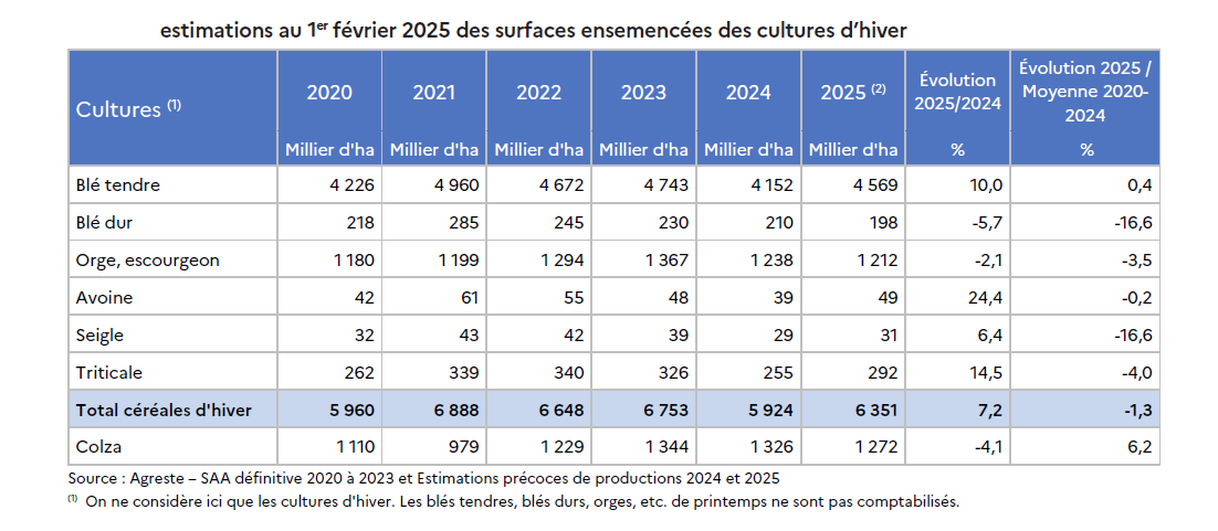 Hausse des céréales d’hiver pour la campagne 2025