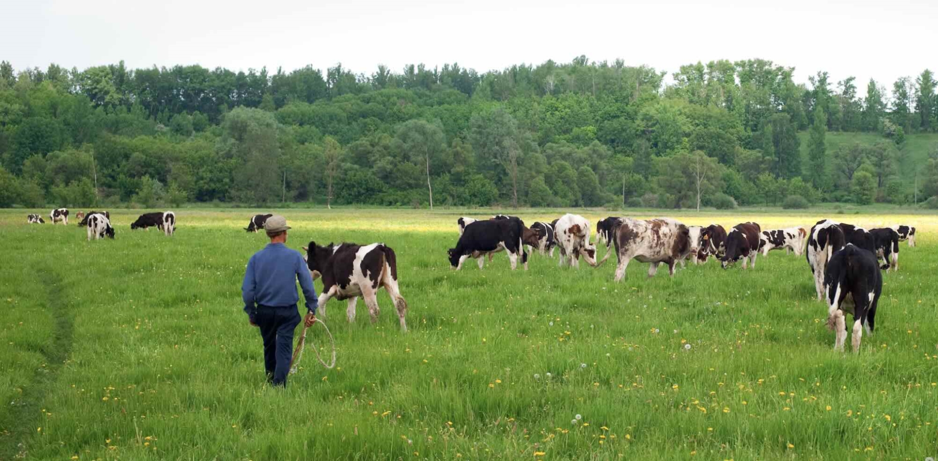 Les agriculteurs toujours inquiets